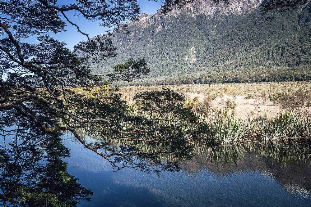 Mirror Lakes Walk,Mirror Lakes,鏡湖,蒂阿瑙景點 Mirror Lakes Walk,Mirror Lakes,鏡湖,蒂阿瑙景點