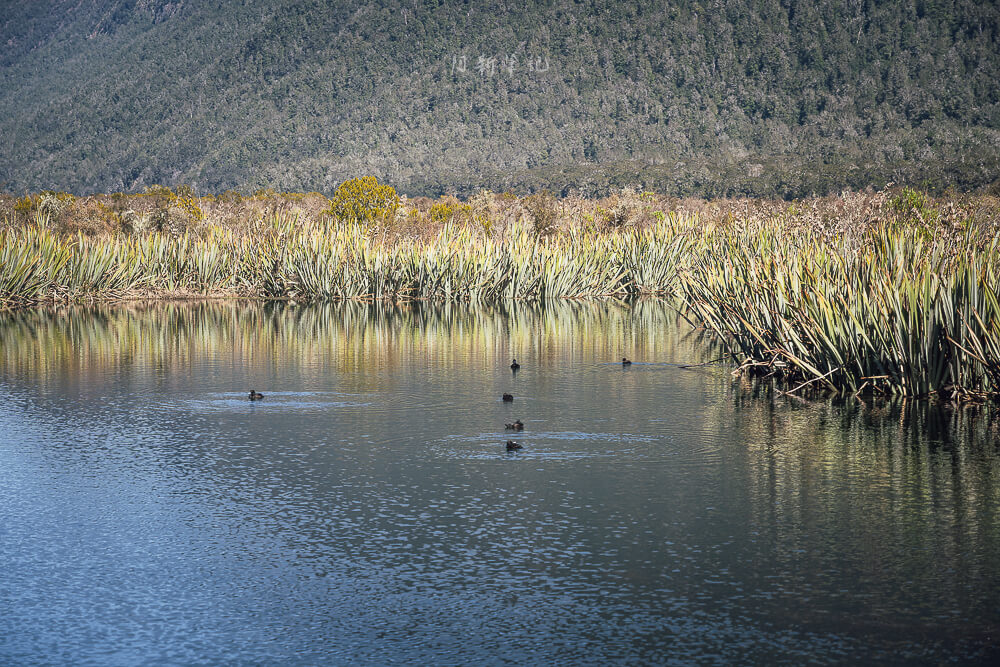 Mirror Lakes Walk,Mirror Lakes,鏡湖,蒂阿瑙景點 Mirror Lakes Walk,Mirror Lakes,鏡湖,蒂阿瑙景點