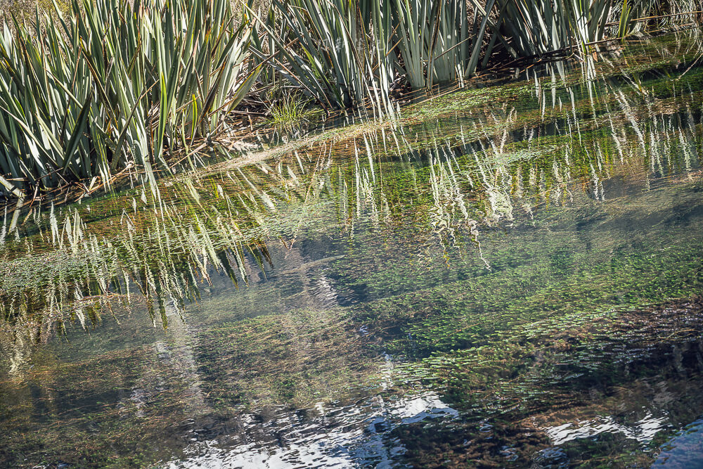 Mirror Lakes Walk,Mirror Lakes,鏡湖,蒂阿瑙景點 Mirror Lakes Walk,Mirror Lakes,鏡湖,蒂阿瑙景點