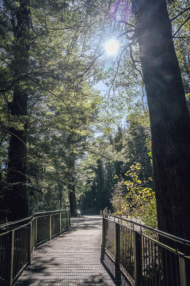 Mirror Lakes Walk,Mirror Lakes,鏡湖,蒂阿瑙景點 Mirror Lakes Walk,Mirror Lakes,鏡湖,蒂阿瑙景點