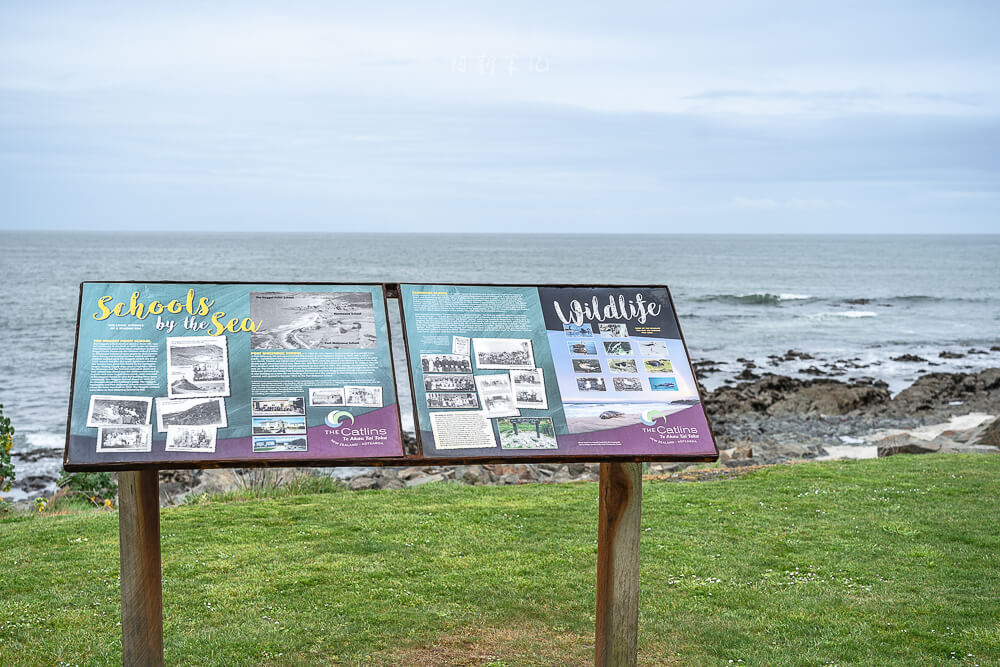 Molyneux Bay,卡卡角海灘,Kaka Point Beach,Kaka Point,卡卡角,紐西蘭景點