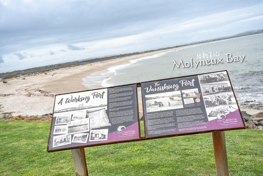 Molyneux Bay,卡卡角海灘,Kaka Point Beach,Kaka Point,卡卡角,紐西蘭景點 Molyneux Bay,卡卡角海灘,Kaka Point Beach,Kaka Point,卡卡角,紐西蘭景點