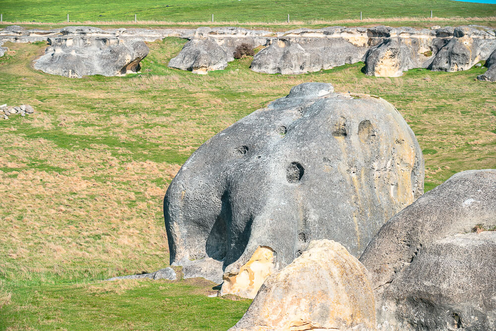 Elephant Rocks,大象岩,Oamaru Elephant Rocks,奧馬魯 大象岩,奧馬魯景點