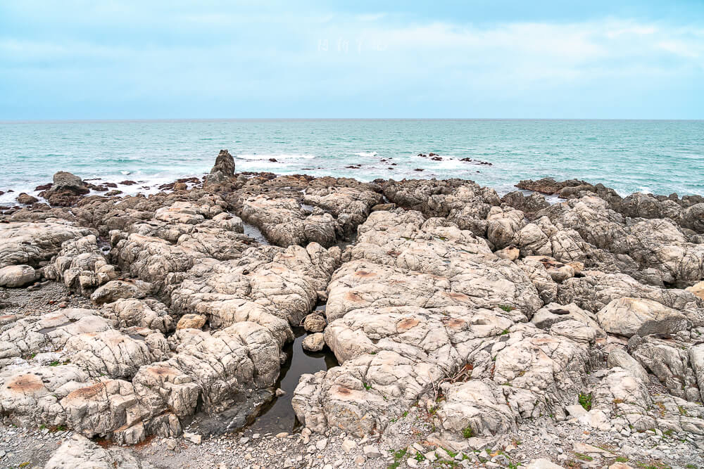 Ohau Point Lookout,奧豪角觀景台,Ohau Point,凱庫拉海豹景點,Kaikoura海豹,紐西蘭海豹景點,紐西蘭觀景台,Kaikoura必去景點,凱庫拉自由行景點,凱庫拉自然景點,Kaikoura野生動物,紐西蘭野生動物景點,紐西蘭親子景點,紐西蘭南島自駕,Kaikoura自駕行程,紐西蘭拍照景點,紐西蘭打卡景點,凱庫拉沿海公路,紐西蘭旅遊景點,紐西蘭海岸風景 Ohau Point Lookout,奧豪角觀景台,Ohau Point,凱庫拉海豹景點,Kaikoura海豹,紐西蘭海豹景點,紐西蘭觀景台,Kaikoura必去景點,凱庫拉自由行景點,凱庫拉自然景點,Kaikoura野生動物,紐西蘭野生動物景點,紐西蘭親子景點,紐西蘭南島自駕,Kaikoura自駕行程,紐西蘭拍照景點,紐西蘭打卡景點,凱庫拉沿海公路,紐西蘭旅遊景點,紐西蘭海岸風景