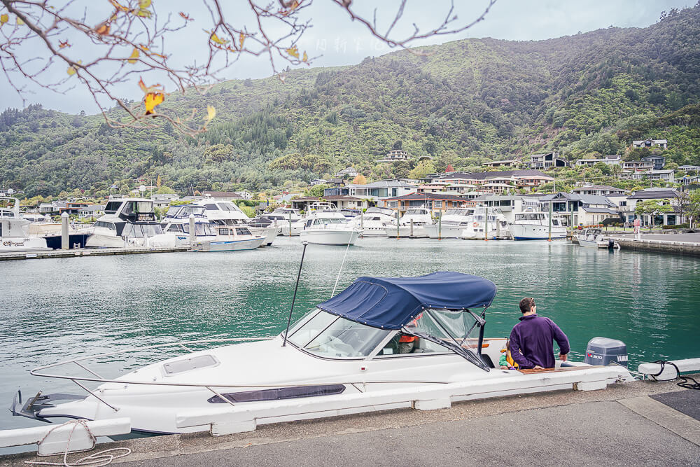 紐西蘭皮克頓,Picton,皮克頓景點,紐西蘭旅遊,皮克頓小鎮,Picton渡輪 紐西蘭皮克頓,Picton,皮克頓景點,紐西蘭旅遊,皮克頓小鎮,Picton渡輪