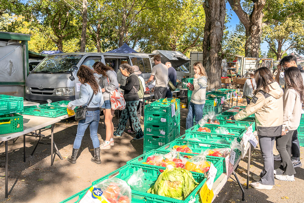 Riccarton Sunday Market,基督城市集,基督城週日市集,Christchurch Sunday Market,紐西蘭市集推薦,紐西蘭跳蚤市場,基督城自由行,Christchurch自由行,紐西蘭行程推薦,紐西蘭在地體驗,基督城景點,基督城週末去哪,Christchurch旅遊景點,基督城便宜逛街,基督城必逛市集,紐西蘭旅遊市集,紐西蘭週日行程,Christchurch週末活動,基督城購物推薦