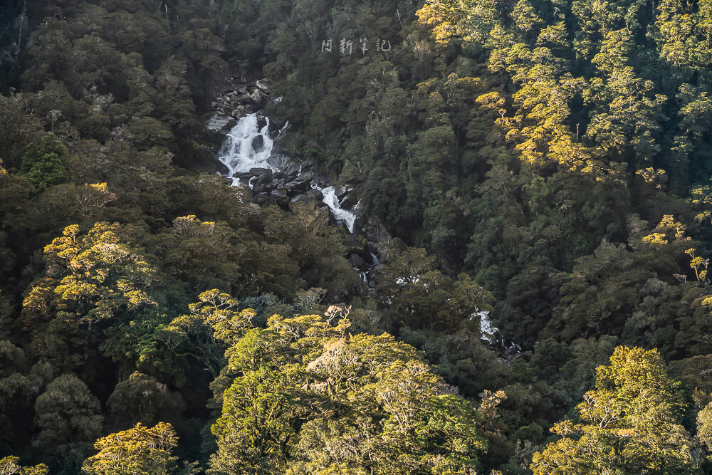Roaring Billy Falls,紐西蘭Roaring Billy Falls,紐西蘭瀑布景點,南島瀑布推薦,紐西蘭自然景點,西岸森林步道,紐西蘭步道推薦,Haast瀑布,Haast行程推薦,紐西蘭南島景點,紐西蘭拍照景點,紐西蘭秘境景點,南島自駕行程,紐西蘭自由行路線,Roaring Billy Falls Walk,紐西蘭親子景點,西岸短步道推薦,紐西蘭旅遊景點推薦,紐西蘭打卡景點,紐西蘭森林瀑布
