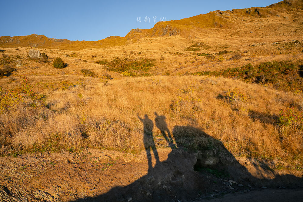 Roys Peak Track,羅伊峰步道,瓦納卡羅伊峰,紐西蘭羅伊峰,紐西蘭健行路線推薦,紐西蘭步道推薦,Roys Peak健行,Roys Peak拍照景點,南島健行景點,紐西蘭IG景點,紐西蘭必拍景點,瓦納卡景點推薦,Roys Peak日出,Roys Peak裝備,紐西蘭自由行景點,瓦納卡健行路線,紐西蘭風景步道,南島網美景點,紐西蘭登山步道,Roys Peak登山經驗