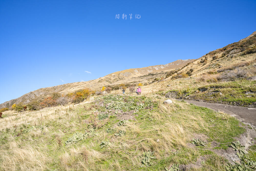 Roys Peak Track,羅伊峰步道,瓦納卡羅伊峰,紐西蘭羅伊峰,紐西蘭健行路線推薦,紐西蘭步道推薦,Roys Peak健行,Roys Peak拍照景點,南島健行景點,紐西蘭IG景點,紐西蘭必拍景點,瓦納卡景點推薦,Roys Peak日出,Roys Peak裝備,紐西蘭自由行景點,瓦納卡健行路線,紐西蘭風景步道,南島網美景點,紐西蘭登山步道,Roys Peak登山經驗 Roys Peak Track,羅伊峰步道,瓦納卡羅伊峰,紐西蘭羅伊峰,紐西蘭健行路線推薦,紐西蘭步道推薦,Roys Peak健行,Roys Peak拍照景點,南島健行景點,紐西蘭IG景點,紐西蘭必拍景點,瓦納卡景點推薦,Roys Peak日出,Roys Peak裝備,紐西蘭自由行景點,瓦納卡健行路線,紐西蘭風景步道,南島網美景點,紐西蘭登山步道,Roys Peak登山經驗