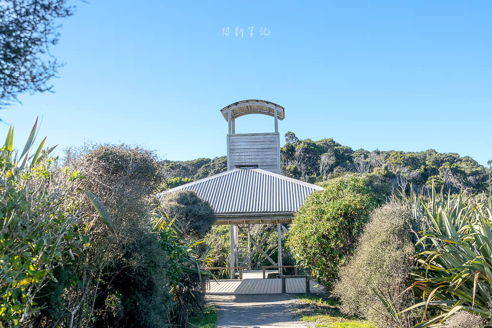 船溪,Ship Creek,紐西蘭Ship Creek,南島西岸景點,紐西蘭自然景點推薦,紐西蘭濕地步道,Ship Creek Walk,Ship Creek Lookout,Ship Creek海灘,紐西蘭沿海自駕,南島自駕行程,西岸秘境景點,紐西蘭拍照景點,紐西蘭自由行景點推薦,Ship Creek觀鳥,紐西蘭野鳥觀察,Ship Creek停車場,Haast沿途景點,紐西蘭短步道推薦,紐西蘭自然風光,紐西蘭森林步道 船溪,Ship Creek,紐西蘭Ship Creek,南島西岸景點,紐西蘭自然景點推薦,紐西蘭濕地步道,Ship Creek Walk,Ship Creek Lookout,Ship Creek海灘,紐西蘭沿海自駕,南島自駕行程,西岸秘境景點,紐西蘭拍照景點,紐西蘭自由行景點推薦,Ship Creek觀鳥,紐西蘭野鳥觀察,Ship Creek停車場,Haast沿途景點,紐西蘭短步道推薦,紐西蘭自然風光,紐西蘭森林步道