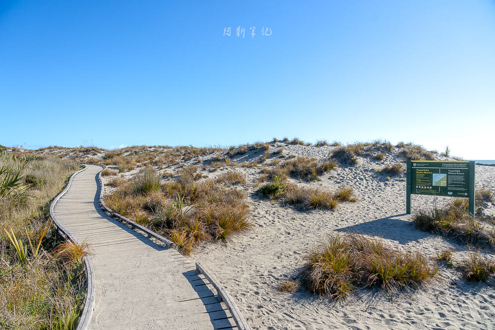 船溪,Ship Creek,紐西蘭Ship Creek,南島西岸景點,紐西蘭自然景點推薦,紐西蘭濕地步道,Ship Creek Walk,Ship Creek Lookout,Ship Creek海灘,紐西蘭沿海自駕,南島自駕行程,西岸秘境景點,紐西蘭拍照景點,紐西蘭自由行景點推薦,Ship Creek觀鳥,紐西蘭野鳥觀察,Ship Creek停車場,Haast沿途景點,紐西蘭短步道推薦,紐西蘭自然風光,紐西蘭森林步道