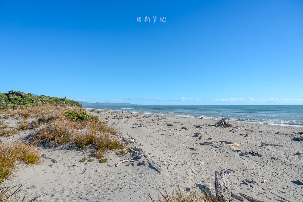 船溪,Ship Creek,紐西蘭Ship Creek,南島西岸景點,紐西蘭自然景點推薦,紐西蘭濕地步道,Ship Creek Walk,Ship Creek Lookout,Ship Creek海灘,紐西蘭沿海自駕,南島自駕行程,西岸秘境景點,紐西蘭拍照景點,紐西蘭自由行景點推薦,Ship Creek觀鳥,紐西蘭野鳥觀察,Ship Creek停車場,Haast沿途景點,紐西蘭短步道推薦,紐西蘭自然風光,紐西蘭森林步道