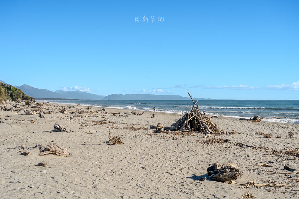 船溪,Ship Creek,紐西蘭Ship Creek,南島西岸景點,紐西蘭自然景點推薦,紐西蘭濕地步道,Ship Creek Walk,Ship Creek Lookout,Ship Creek海灘,紐西蘭沿海自駕,南島自駕行程,西岸秘境景點,紐西蘭拍照景點,紐西蘭自由行景點推薦,Ship Creek觀鳥,紐西蘭野鳥觀察,Ship Creek停車場,Haast沿途景點,紐西蘭短步道推薦,紐西蘭自然風光,紐西蘭森林步道