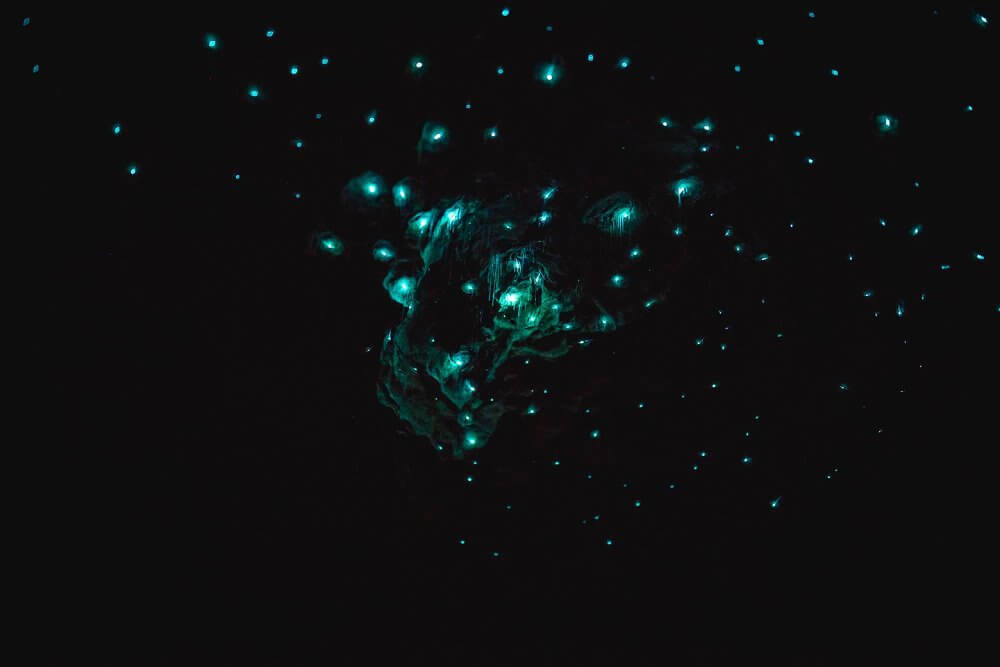 Te Anau Glowworm Caves,蒂阿瑙螢火蟲洞,紐西蘭螢火蟲洞,紐西蘭洞穴探險,蒂阿瑙景點,Te Anau景點推薦,紐西蘭南島景點,紐西蘭自然景點,紐西蘭親子景點,紐西蘭自由行推薦,南島自由行行程,Te Anau自由行,蒂阿瑙行程安排,紐西蘭必訪景點,RealNZ螢火蟲洞,蒂阿瑙船票,螢火蟲洞預約,紐西蘭夜間活動,紐西蘭旅遊推薦,紐西蘭浪漫行程 Te Anau Glowworm Caves,蒂阿瑙螢火蟲洞,紐西蘭螢火蟲洞,紐西蘭洞穴探險,蒂阿瑙景點,Te Anau景點推薦,紐西蘭南島景點,紐西蘭自然景點,紐西蘭親子景點,紐西蘭自由行推薦,南島自由行行程,Te Anau自由行,蒂阿瑙行程安排,紐西蘭必訪景點,RealNZ螢火蟲洞,蒂阿瑙船票,螢火蟲洞預約,紐西蘭夜間活動,紐西蘭旅遊推薦,紐西蘭浪漫行程