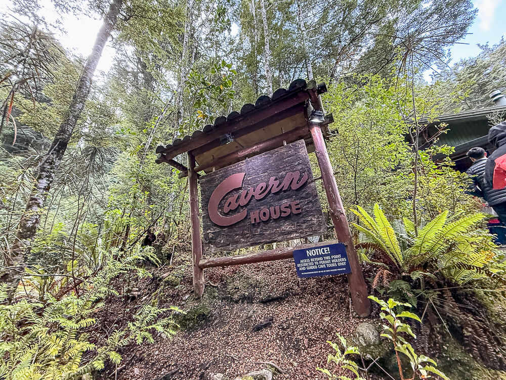 Te Anau Glowworm Caves,蒂阿瑙螢火蟲洞,紐西蘭螢火蟲洞,紐西蘭洞穴探險,蒂阿瑙景點,Te Anau景點推薦,紐西蘭南島景點,紐西蘭自然景點,紐西蘭親子景點,紐西蘭自由行推薦,南島自由行行程,Te Anau自由行,蒂阿瑙行程安排,紐西蘭必訪景點,RealNZ螢火蟲洞,蒂阿瑙船票,螢火蟲洞預約,紐西蘭夜間活動,紐西蘭旅遊推薦,紐西蘭浪漫行程