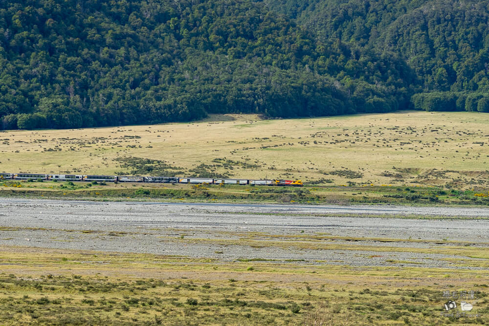 紐西蘭高山景觀火車,阿爾卑斯號高山景觀,阿爾卑斯號高山景觀火車票,TRANZ ALPINE高山景觀火車,TRANZ ALPINE,紐西蘭南島火車,紐西蘭必玩,紐西蘭行程,紐西蘭旅遊