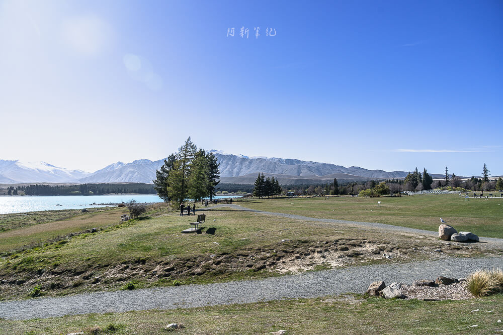 蒂卡波,蒂卡波湖,Lake Tekapo,蒂卡波景點 紐西蘭 蒂卡波 湖畔草地