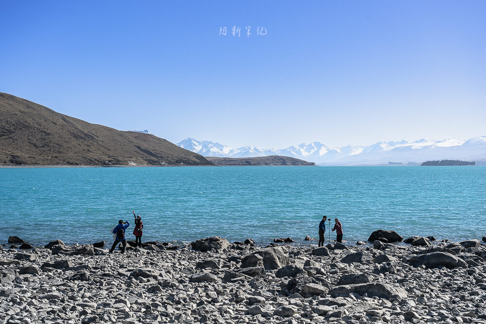 蒂卡波,蒂卡波湖,Lake Tekapo,蒂卡波景點 紐西蘭 蒂卡波湖 湖岸與雪山