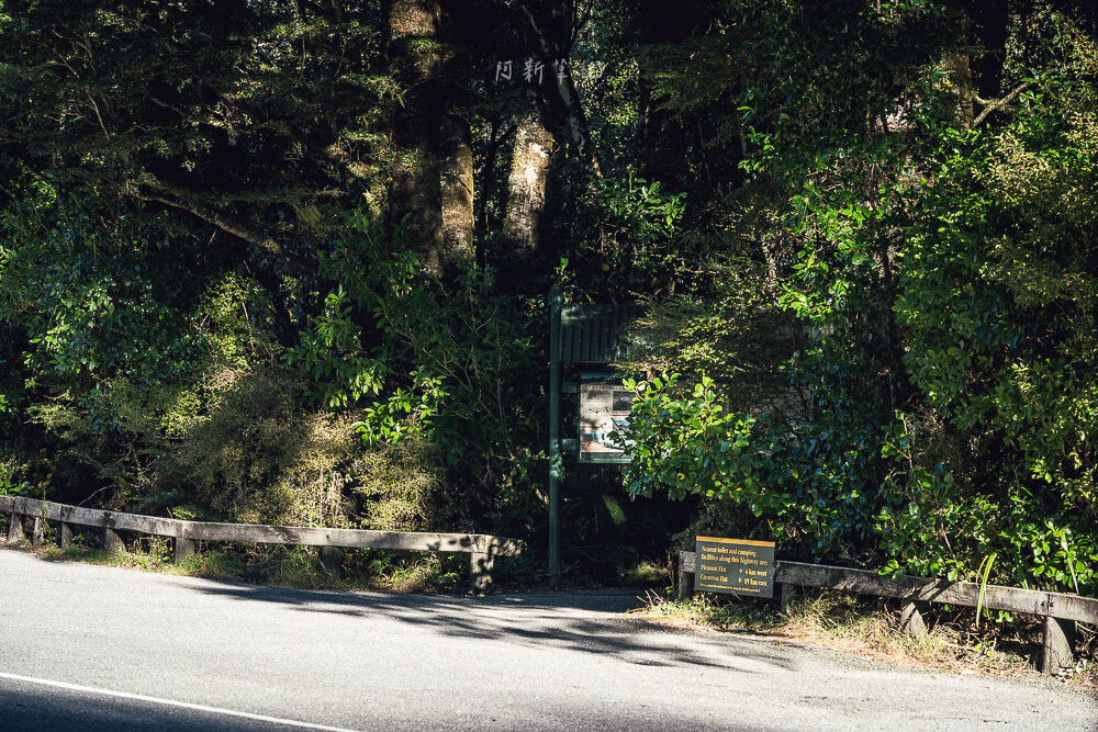 Thunder Creek Falls,紐西蘭Thunder Creek Falls,紐西蘭瀑布推薦,南島瀑布景點,紐西蘭自然景點,Haast瀑布,Haast Pass景點,西岸拍照景點,紐西蘭短步道推薦,紐西蘭森林景點,紐西蘭親子行程,紐西蘭自由行景點,南島自駕行程推薦,紐西蘭拍照打卡景點,Thunder Creek瀑布,Haast打卡景點,紐西蘭西海岸行程,紐西蘭秘境景點,南島旅遊必去,紐西蘭旅遊推薦