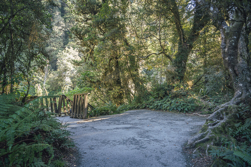 Thunder Creek Falls,紐西蘭Thunder Creek Falls,紐西蘭瀑布推薦,南島瀑布景點,紐西蘭自然景點,Haast瀑布,Haast Pass景點,西岸拍照景點,紐西蘭短步道推薦,紐西蘭森林景點,紐西蘭親子行程,紐西蘭自由行景點,南島自駕行程推薦,紐西蘭拍照打卡景點,Thunder Creek瀑布,Haast打卡景點,紐西蘭西海岸行程,紐西蘭秘境景點,南島旅遊必去,紐西蘭旅遊推薦