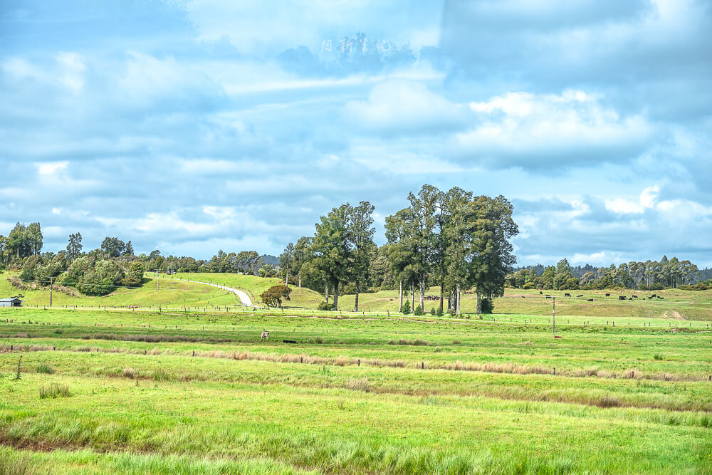 阿爾卑斯景觀列車,TranzAlpine,紐西蘭高山火車,阿爾卑斯號,阿爾卑斯號火車,阿爾卑斯號高山景觀火車,阿爾卑斯號價格,阿爾卑斯號高山景觀火車票,紐西蘭 阿爾卑斯號 阿爾卑斯景觀列車,TranzAlpine,紐西蘭高山火車,阿爾卑斯號,阿爾卑斯號火車,阿爾卑斯號高山景觀火車,阿爾卑斯號價格,阿爾卑斯號高山景觀火車票,紐西蘭 阿爾卑斯號