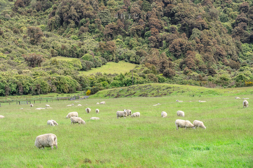 阿爾卑斯景觀列車,TranzAlpine,紐西蘭高山火車,阿爾卑斯號,阿爾卑斯號火車,阿爾卑斯號高山景觀火車,阿爾卑斯號價格,阿爾卑斯號高山景觀火車票,紐西蘭 阿爾卑斯號 阿爾卑斯景觀列車,TranzAlpine,紐西蘭高山火車,阿爾卑斯號,阿爾卑斯號火車,阿爾卑斯號高山景觀火車,阿爾卑斯號價格,阿爾卑斯號高山景觀火車票,紐西蘭 阿爾卑斯號