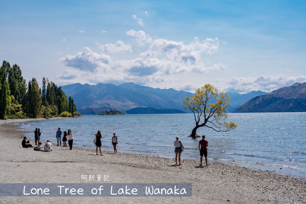 Wanaka Tree |Wanaka瓦納卡必訪景點，隱藏瓦納卡湖內的必打卡瓦卡納樹。