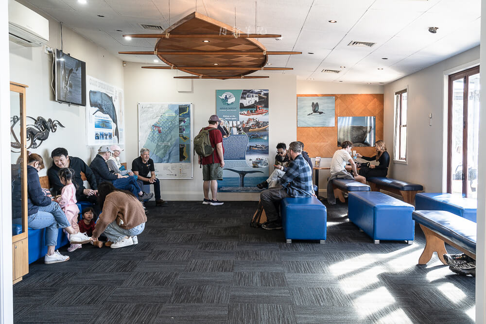 Whale Watch Kaikoura,凱庫拉賞鯨,Kaikoura賞鯨行程,紐西蘭賞鯨,紐西蘭海上活動,Kaikoura旅遊推薦,紐西蘭必玩體驗,凱庫拉自由行,紐西蘭行程推薦,Kaikoura野生動物,紐西蘭賞鯨公司,紐西蘭動物景點,凱庫拉景點推薦,Kaikoura看鯨魚,紐西蘭看鯨魚,賞鯨船推薦,凱庫拉必去景點,紐西蘭自然體驗,紐西蘭親子旅遊,紐西蘭自駕行程 Whale Watch Kaikoura,凱庫拉賞鯨,Kaikoura賞鯨行程,紐西蘭賞鯨,紐西蘭海上活動,Kaikoura旅遊推薦,紐西蘭必玩體驗,凱庫拉自由行,紐西蘭行程推薦,Kaikoura野生動物,紐西蘭賞鯨公司,紐西蘭動物景點,凱庫拉景點推薦,Kaikoura看鯨魚,紐西蘭看鯨魚,賞鯨船推薦,凱庫拉必去景點,紐西蘭自然體驗,紐西蘭親子旅遊,紐西蘭自駕行程