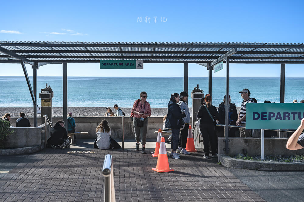 Whale Watch Kaikoura,凱庫拉賞鯨,Kaikoura賞鯨行程,紐西蘭賞鯨,紐西蘭海上活動,Kaikoura旅遊推薦,紐西蘭必玩體驗,凱庫拉自由行,紐西蘭行程推薦,Kaikoura野生動物,紐西蘭賞鯨公司,紐西蘭動物景點,凱庫拉景點推薦,Kaikoura看鯨魚,紐西蘭看鯨魚,賞鯨船推薦,凱庫拉必去景點,紐西蘭自然體驗,紐西蘭親子旅遊,紐西蘭自駕行程