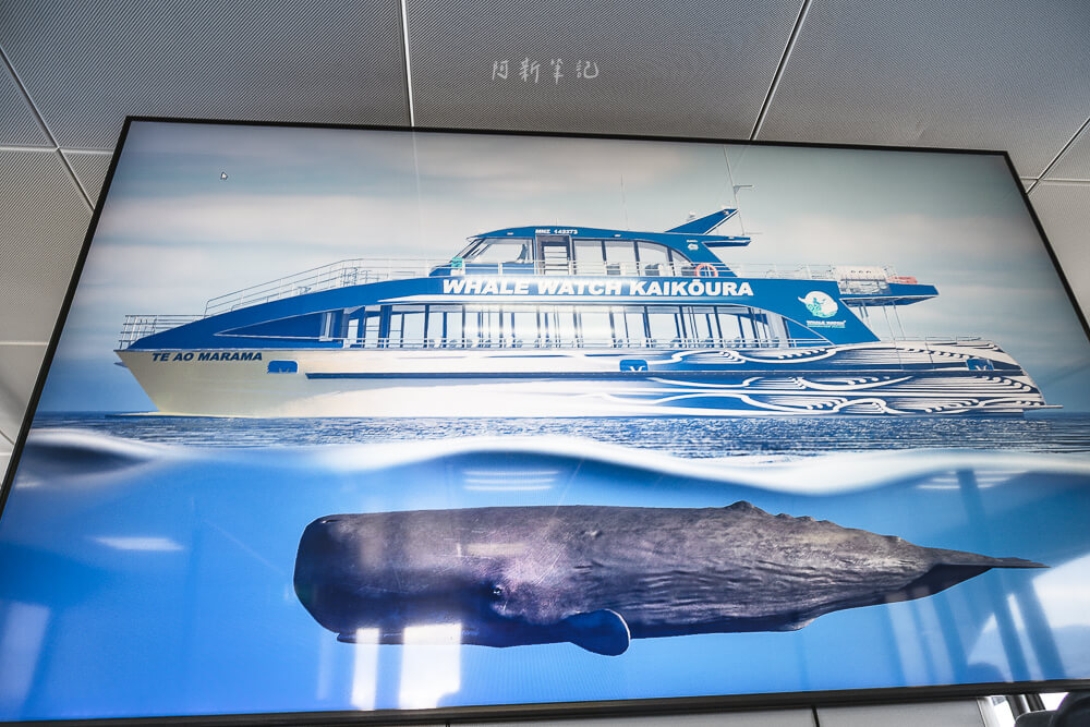 Whale Watch Kaikoura,凱庫拉賞鯨,Kaikoura賞鯨行程,紐西蘭賞鯨,紐西蘭海上活動,Kaikoura旅遊推薦,紐西蘭必玩體驗,凱庫拉自由行,紐西蘭行程推薦,Kaikoura野生動物,紐西蘭賞鯨公司,紐西蘭動物景點,凱庫拉景點推薦,Kaikoura看鯨魚,紐西蘭看鯨魚,賞鯨船推薦,凱庫拉必去景點,紐西蘭自然體驗,紐西蘭親子旅遊,紐西蘭自駕行程 Whale Watch Kaikoura,凱庫拉賞鯨,Kaikoura賞鯨行程,紐西蘭賞鯨,紐西蘭海上活動,Kaikoura旅遊推薦,紐西蘭必玩體驗,凱庫拉自由行,紐西蘭行程推薦,Kaikoura野生動物,紐西蘭賞鯨公司,紐西蘭動物景點,凱庫拉景點推薦,Kaikoura看鯨魚,紐西蘭看鯨魚,賞鯨船推薦,凱庫拉必去景點,紐西蘭自然體驗,紐西蘭親子旅遊,紐西蘭自駕行程