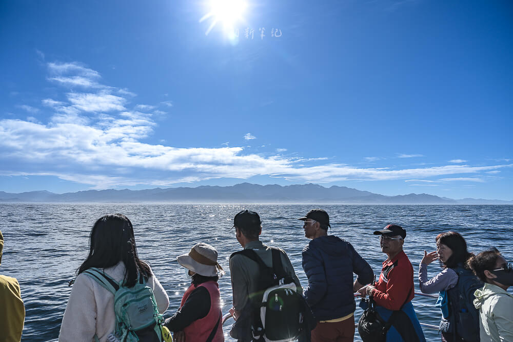 Whale Watch Kaikoura,凱庫拉賞鯨,Kaikoura賞鯨行程,紐西蘭賞鯨,紐西蘭海上活動,Kaikoura旅遊推薦,紐西蘭必玩體驗,凱庫拉自由行,紐西蘭行程推薦,Kaikoura野生動物,紐西蘭賞鯨公司,紐西蘭動物景點,凱庫拉景點推薦,Kaikoura看鯨魚,紐西蘭看鯨魚,賞鯨船推薦,凱庫拉必去景點,紐西蘭自然體驗,紐西蘭親子旅遊,紐西蘭自駕行程