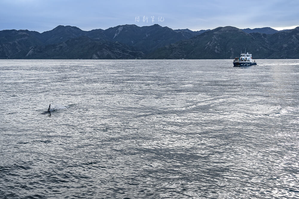 Whale Watch Kaikoura,凱庫拉賞鯨,Kaikoura賞鯨行程,紐西蘭賞鯨,紐西蘭海上活動,Kaikoura旅遊推薦,紐西蘭必玩體驗,凱庫拉自由行,紐西蘭行程推薦,Kaikoura野生動物,紐西蘭賞鯨公司,紐西蘭動物景點,凱庫拉景點推薦,Kaikoura看鯨魚,紐西蘭看鯨魚,賞鯨船推薦,凱庫拉必去景點,紐西蘭自然體驗,紐西蘭親子旅遊,紐西蘭自駕行程 Whale Watch Kaikoura,凱庫拉賞鯨,Kaikoura賞鯨行程,紐西蘭賞鯨,紐西蘭海上活動,Kaikoura旅遊推薦,紐西蘭必玩體驗,凱庫拉自由行,紐西蘭行程推薦,Kaikoura野生動物,紐西蘭賞鯨公司,紐西蘭動物景點,凱庫拉景點推薦,Kaikoura看鯨魚,紐西蘭看鯨魚,賞鯨船推薦,凱庫拉必去景點,紐西蘭自然體驗,紐西蘭親子旅遊,紐西蘭自駕行程