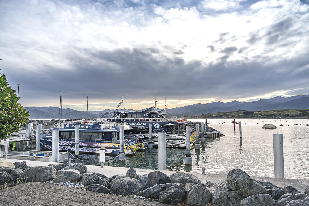 Whale Watch Kaikoura,凱庫拉賞鯨,Kaikoura賞鯨行程,紐西蘭賞鯨,紐西蘭海上活動,Kaikoura旅遊推薦,紐西蘭必玩體驗,凱庫拉自由行,紐西蘭行程推薦,Kaikoura野生動物,紐西蘭賞鯨公司,紐西蘭動物景點,凱庫拉景點推薦,Kaikoura看鯨魚,紐西蘭看鯨魚,賞鯨船推薦,凱庫拉必去景點,紐西蘭自然體驗,紐西蘭親子旅遊,紐西蘭自駕行程 Whale Watch Kaikoura,凱庫拉賞鯨,Kaikoura賞鯨行程,紐西蘭賞鯨,紐西蘭海上活動,Kaikoura旅遊推薦,紐西蘭必玩體驗,凱庫拉自由行,紐西蘭行程推薦,Kaikoura野生動物,紐西蘭賞鯨公司,紐西蘭動物景點,凱庫拉景點推薦,Kaikoura看鯨魚,紐西蘭看鯨魚,賞鯨船推薦,凱庫拉必去景點,紐西蘭自然體驗,紐西蘭親子旅遊,紐西蘭自駕行程