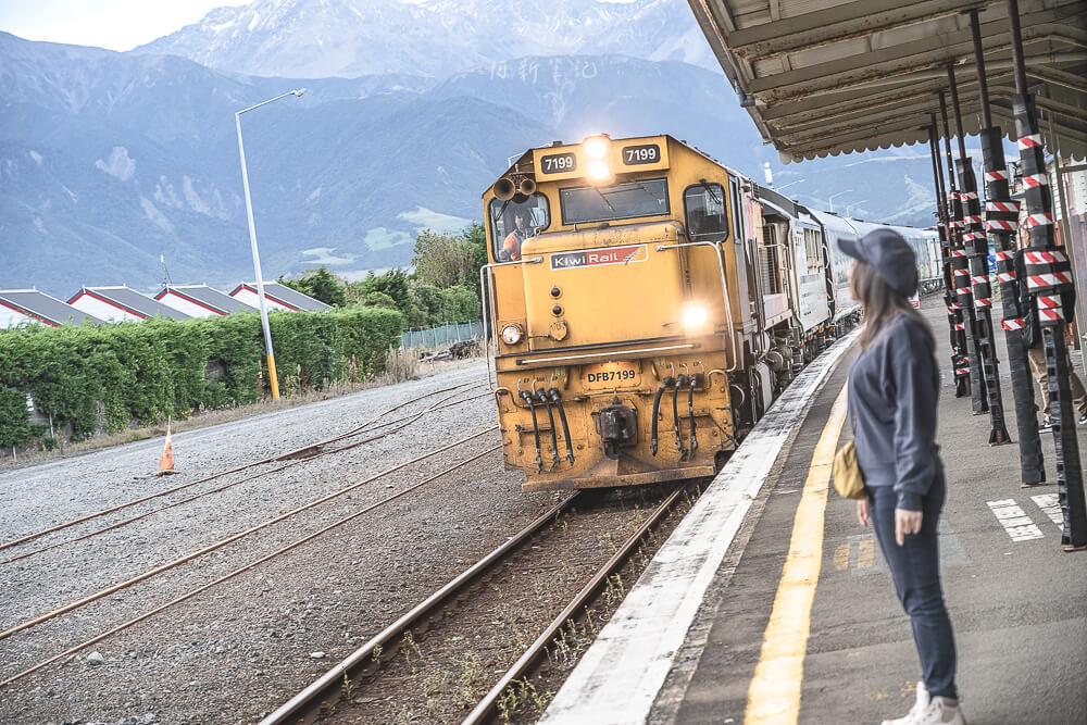 Whale Watch Kaikoura,凱庫拉賞鯨,Kaikoura賞鯨行程,紐西蘭賞鯨,紐西蘭海上活動,Kaikoura旅遊推薦,紐西蘭必玩體驗,凱庫拉自由行,紐西蘭行程推薦,Kaikoura野生動物,紐西蘭賞鯨公司,紐西蘭動物景點,凱庫拉景點推薦,Kaikoura看鯨魚,紐西蘭看鯨魚,賞鯨船推薦,凱庫拉必去景點,紐西蘭自然體驗,紐西蘭親子旅遊,紐西蘭自駕行程 Whale Watch Kaikoura,凱庫拉賞鯨,Kaikoura賞鯨行程,紐西蘭賞鯨,紐西蘭海上活動,Kaikoura旅遊推薦,紐西蘭必玩體驗,凱庫拉自由行,紐西蘭行程推薦,Kaikoura野生動物,紐西蘭賞鯨公司,紐西蘭動物景點,凱庫拉景點推薦,Kaikoura看鯨魚,紐西蘭看鯨魚,賞鯨船推薦,凱庫拉必去景點,紐西蘭自然體驗,紐西蘭親子旅遊,紐西蘭自駕行程