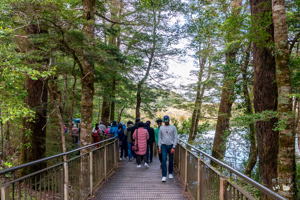 鏡湖,Mirror Lakes,紐西蘭鏡湖,南島鏡湖,米佛峽灣鏡湖,米佛峽灣沿途景點,紐西蘭南島景點,紐西蘭自由行景點,米佛峽灣必去,紐西蘭拍照景點
