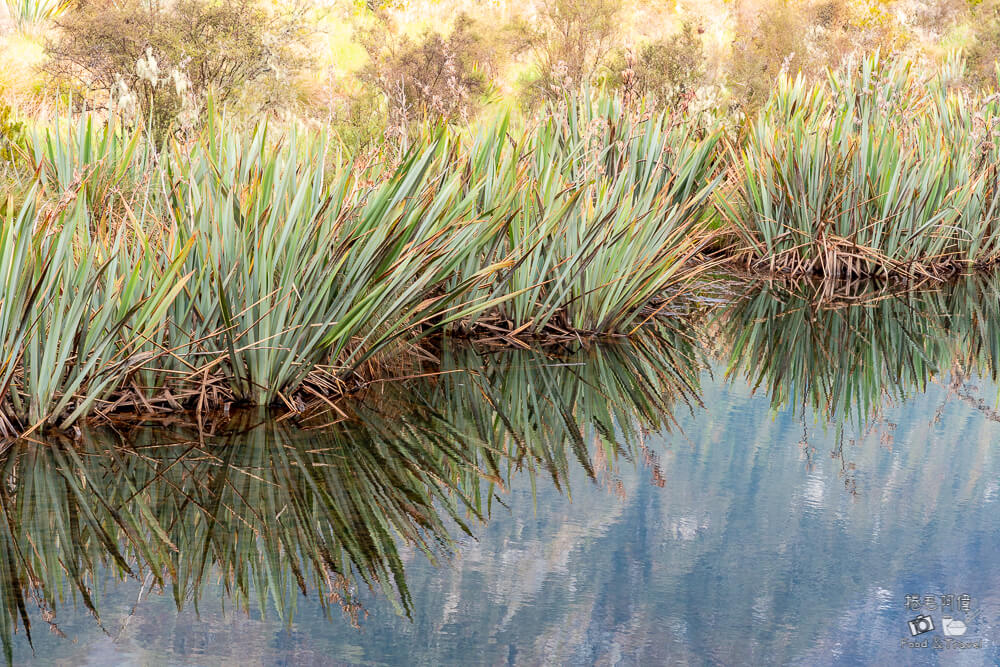 鏡湖,Mirror Lakes,紐西蘭鏡湖,南島鏡湖,米佛峽灣鏡湖,米佛峽灣沿途景點,紐西蘭南島景點,紐西蘭自由行景點,米佛峽灣必去,紐西蘭拍照景點