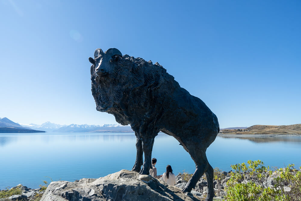 Lake Pukaki,Lake Pukaki必吃,Lake Pukaki鮭魚,普卡基湖,普卡基湖Lake Pukaki,普卡基湖必吃,普卡基湖鮭魚,紐西蘭南島景點,紐西蘭旅遊,紐西蘭景點,紐西蘭自由行 @捲毛阿偉 Mt Cook Alpine Salmon Shop,普卡基湖鮭魚,普卡基湖生魚片,紐西蘭鮭魚生魚片,普卡基湖美食,庫克山鮭魚,紐西蘭南島美食,普卡基湖停車景點,紐西蘭自由行美食,庫克山必吃