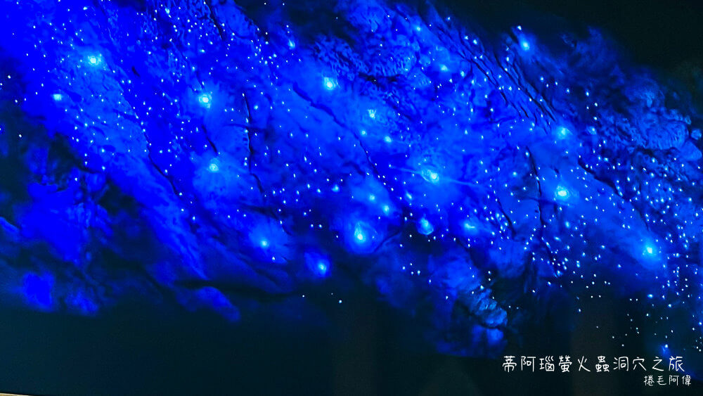 蒂阿瑙螢火蟲洞穴之旅,蒂阿瑙螢火蟲洞,南島螢火蟲洞,紐西蘭南島螢火蟲,紐西蘭景點,紐西蘭行程推薦,紐西蘭旅遊