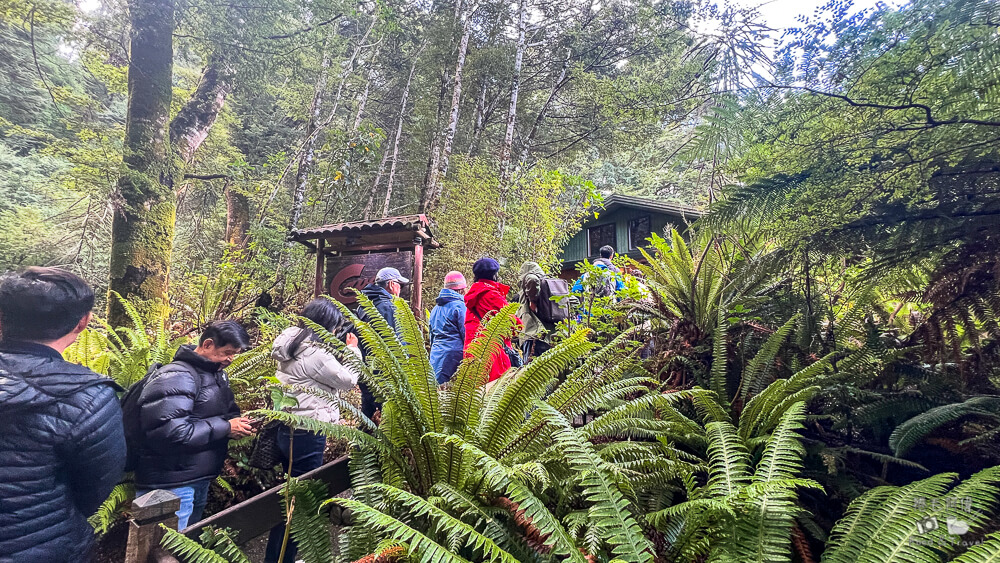 蒂阿瑙螢火蟲洞穴之旅,蒂阿瑙螢火蟲洞,南島螢火蟲洞,紐西蘭南島螢火蟲,紐西蘭景點,紐西蘭行程推薦,紐西蘭旅遊
