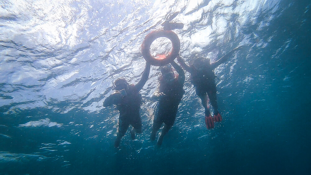 墨寶沙丁魚,沙丁魚風暴,墨寶沙丁魚風暴,墨寶沙丁魚時間,墨寶沙丁魚地點,墨寶沙丁魚英文,墨寶沙丁魚潛水,墨寶沙丁魚行程,宿霧墨寶沙丁魚,宿霧沙丁魚風暴季節,Sardins Storm at Moalboal