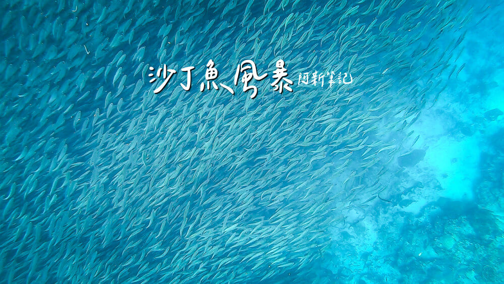 墨寶沙丁魚,沙丁魚風暴,墨寶沙丁魚風暴,墨寶沙丁魚時間,墨寶沙丁魚地點,墨寶沙丁魚英文,墨寶沙丁魚潛水,墨寶沙丁魚行程,宿霧墨寶沙丁魚,宿霧沙丁魚風暴季節,Sardins Storm at Moalboal