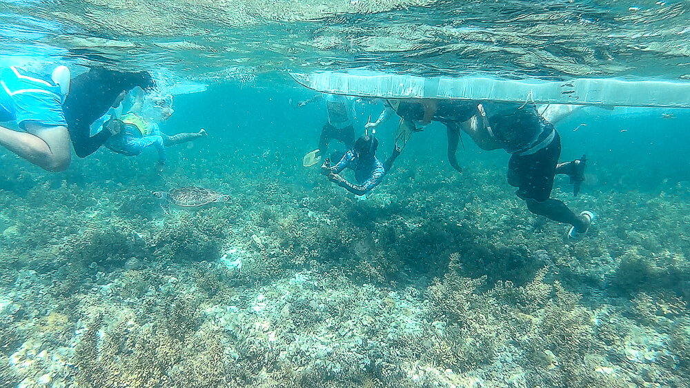 墨寶海龜,墨寶行程,墨寶浮潛,宿霧旅遊