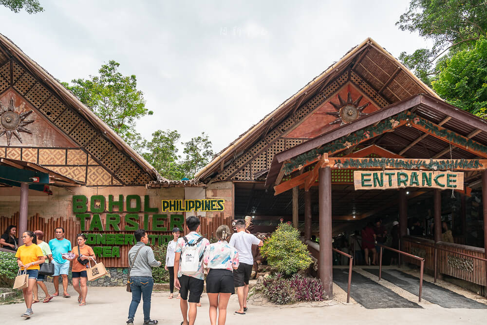 Bohol Tarsier Conservation Area,眼鏡猴保護區,薄荷島 眼鏡猴保護區,宿霧景點,眼鏡猴,菲律賓,菲律賓景點,薄荷島動物園,薄荷島景點