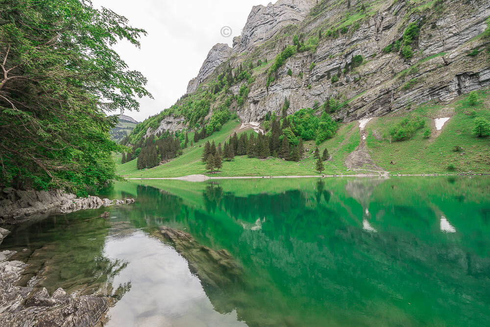 瑞士阿彭策爾塞阿爾卑湖,Seealpsee,塞阿爾卑湖,瑞士Seealpsee,瑞士塞阿爾卑湖,瑞士希阿爾卑湖,希阿爾卑湖-28