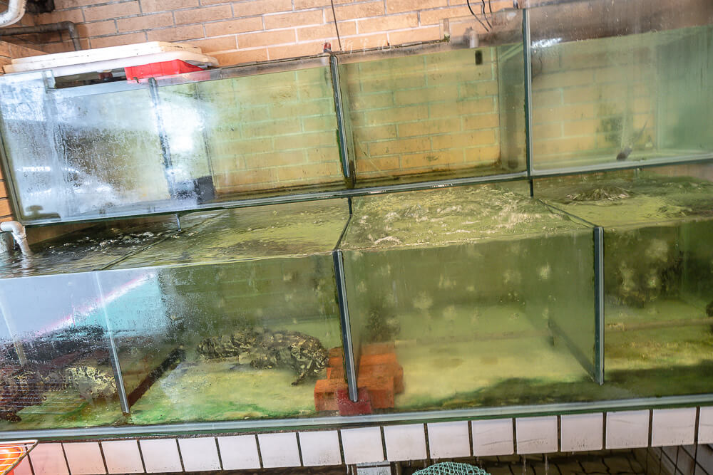 粵香園,粵香園廣東料理,粵香園菜單,粵香園價格,粵香園營業時間,粵香園地址,粵香園電話,粵香園評價,台北粵香園,忠孝復興站美食,東區粵菜,台北港式料理,粵香園訂位,粵香園燒臘,台北粵菜推薦