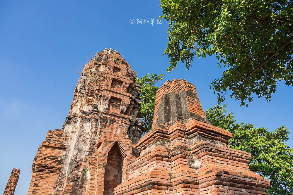瑪哈泰寺,Wat Mahathat,樹中佛陀,泰國樹中佛陀