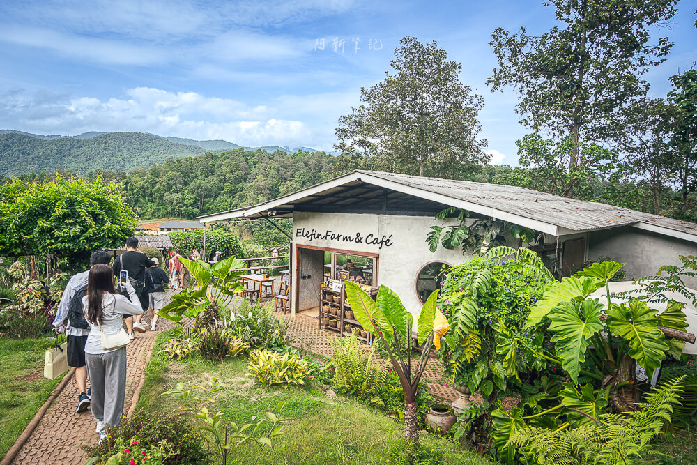 Elefin Farm and Cafe,清邁大象,大象友善營,清邁咖啡廳,清邁景點,泰國清邁,清邁旅遊