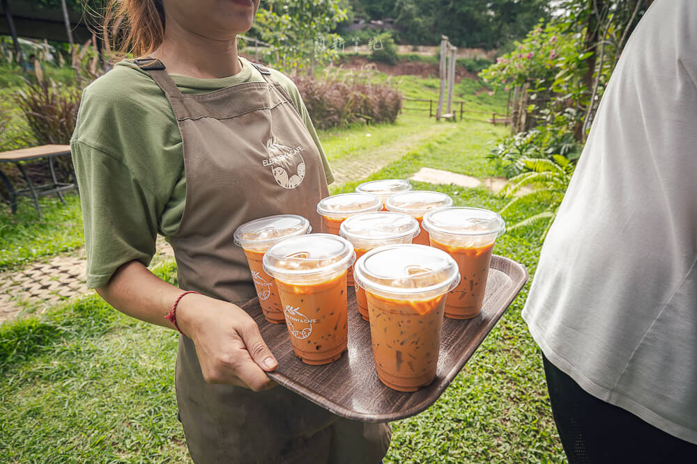 Elefin Farm and Cafe,清邁大象,大象友善營,清邁咖啡廳,清邁景點,泰國清邁,清邁旅遊
