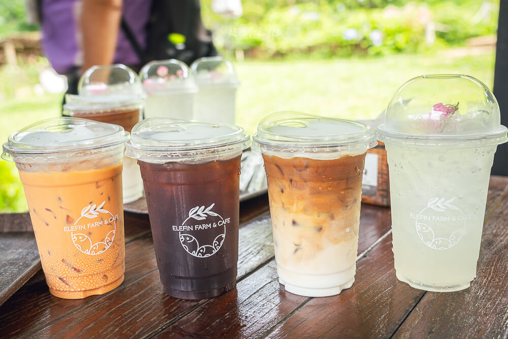 Elefin Farm and Cafe,清邁大象,大象友善營,清邁咖啡廳,清邁景點,泰國清邁,清邁旅遊
