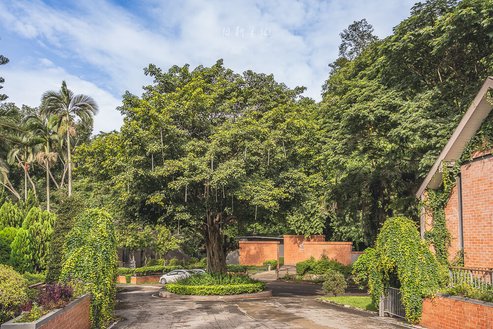 清邁Flora Creek,Flora Creek,清邁住宿,清邁飯店,清邁度假村,航東住宿 清邁 Flora Creek 園區林蔭道路